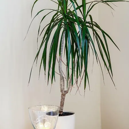 Hello Ogarna Гданьск