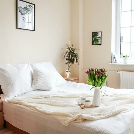 Hello Ogarna * Гданьск