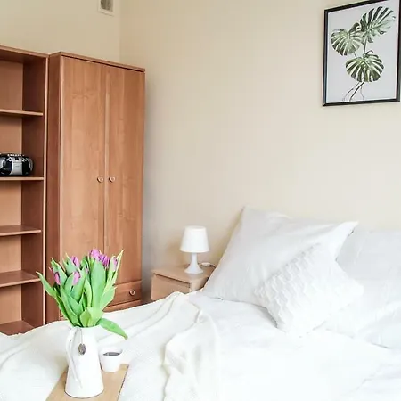 Hello Ogarna Гданьск