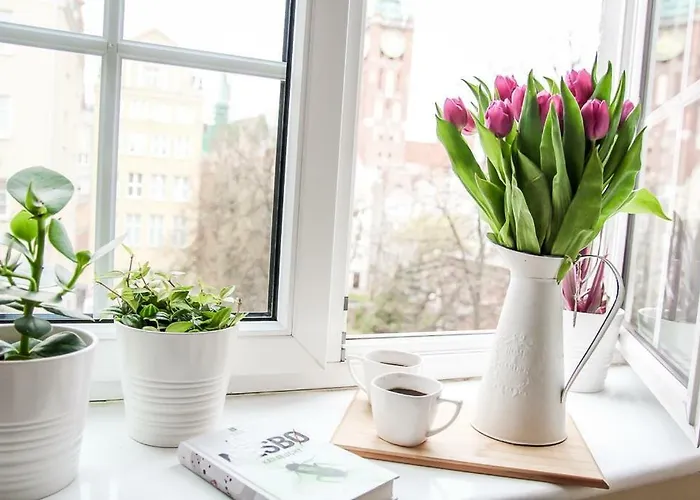 דירה Hello Ogarna